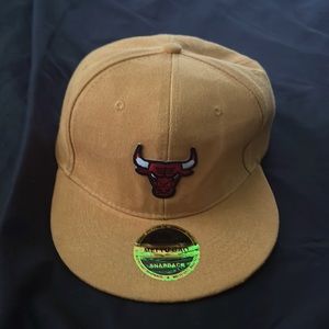 Bulls hat